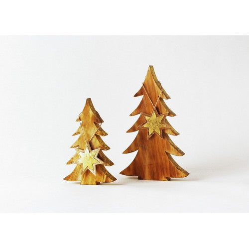 Tree With Hanging Star